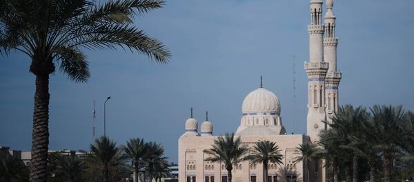 Визит заместителя председателя правительства РФ Дмитрия Рогозина в Ирак - Sputnik Молдова