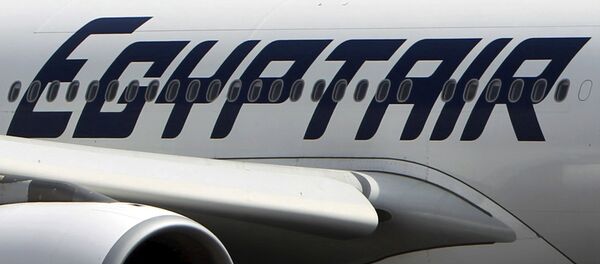 An EgyptAir plane is seen on the runway at Cairo Airport, Egypt in this September 5, 2013 file photo - Sputnik Moldova