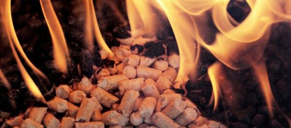 Biomasa, energie alternativă - Sputnik Moldova