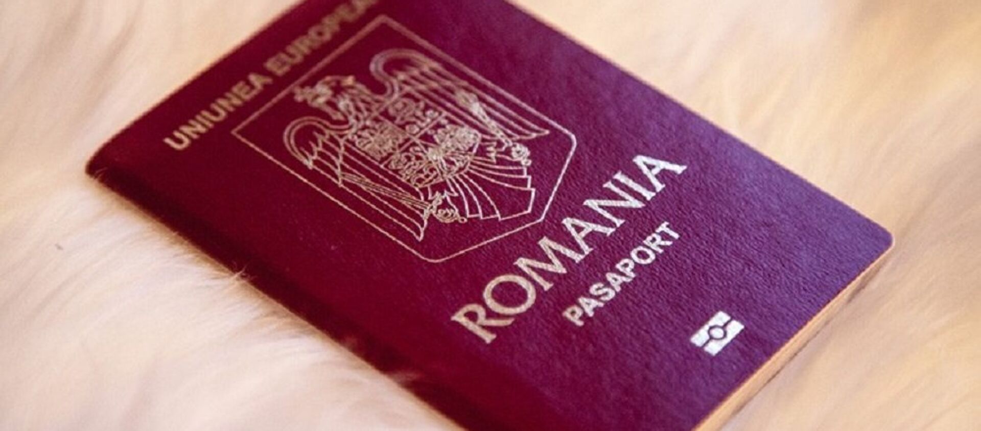 Pașaport român - Sputnik Moldova-România, 1920, 16.06.2021