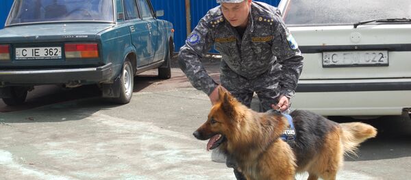 droguri, heroină, poliţie - Sputnik Moldova