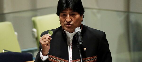Der bolivianische Präsident Evo Morales zeigt ein Coca-Blatt bei Uno-Sitzung Der bolivianische Präsident Evo Morales zeigt ein Coca-Blatt bei Uno-Sitzung - Sputnik Moldova-România