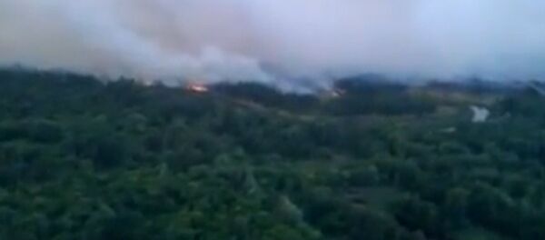 Густой дым пожара накрыл зону отчуждения под Чернобылем - Sputnik Молдова