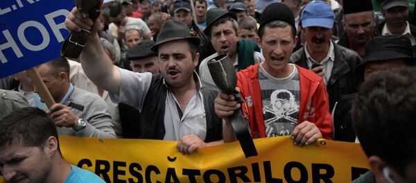 Proteste agricultori - Sputnik Moldova