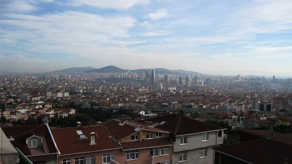 Vedere asupra orașului Istanbul - Sputnik Moldova-România