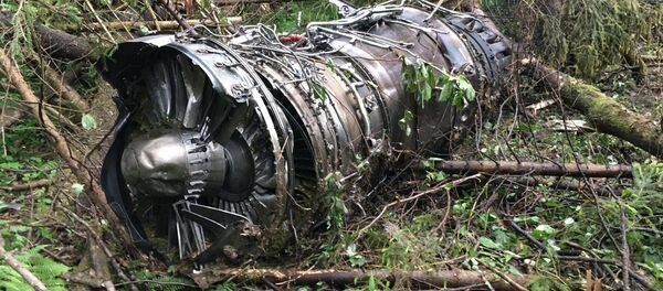 Крушение истребителя Су-27 в Подмосковье Крушение истребителя Су-27 в Подмосковье - Sputnik Молдова