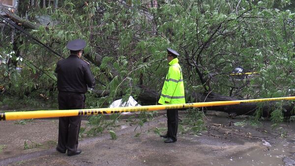 O femeie a fost omorâtă de un copac în Chișinău - Sputnik Молдова