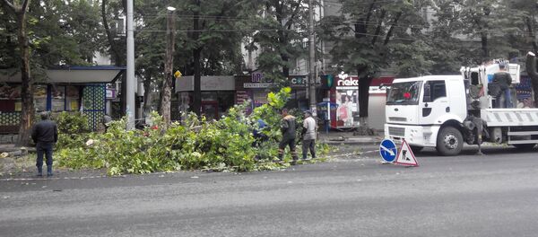 В Кишиневе вечером начали опиливать деревья - Sputnik Moldova