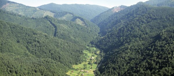 Горная система Карпаты - Sputnik Молдова