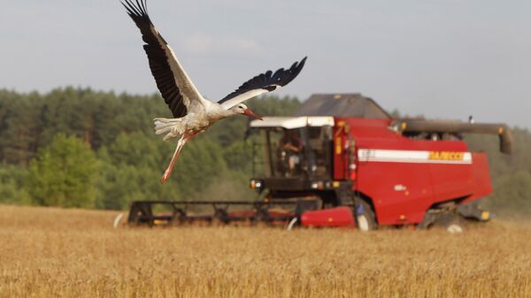 Уборка зерновых, agricultura - Sputnik Moldova