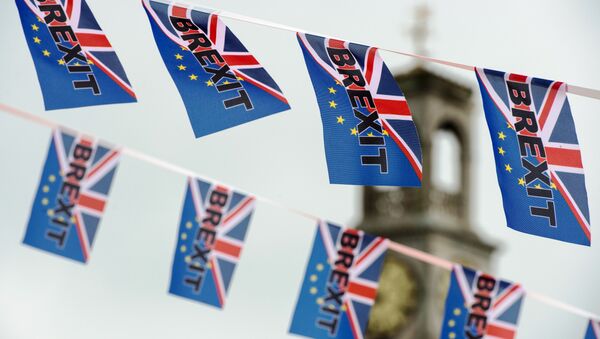 Pro-Brexit flags fly from a fishing boat moored in Ramsgate on June 13, 2016. - Sputnik Moldova-România