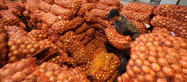 Лук на овощном складе. Лук на овощном складе. - Sputnik Молдова