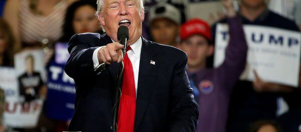 Republican U.S. presidential candidate Donald Trump holds a rally with supporters in Albuquerque, New Mexico, U.S., May 24, 2016 - Sputnik Moldova