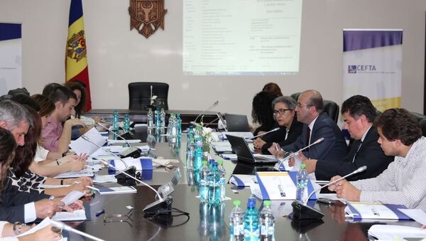 Ministerul Economiei Întrunire CEFTA - Sputnik Moldova