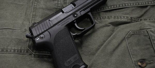 Пистолет. Иллюстративное фото. - Sputnik Moldova