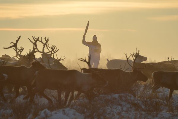 Эстафета Олимпийского огня. Нарьян-Мар - Sputnik Молдова
