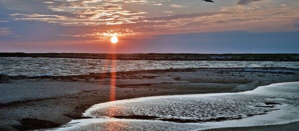 Орнитологический заповедник Лебяжьи острова Орнитологический заповедник Лебяжьи острова - Sputnik Молдова