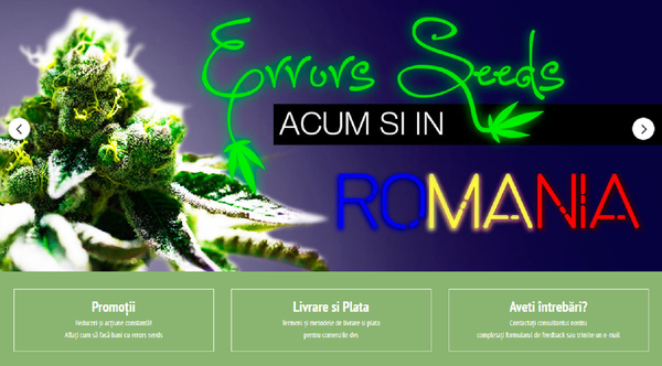 Ofertă de canabil online pentru români Ofertă de canabil online pentru români - Sputnik Moldova