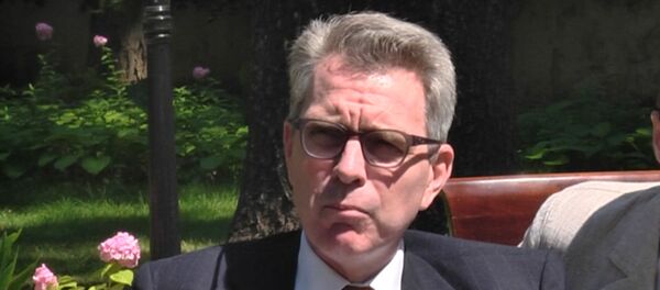 Посол США на Украине объяснил, для чего американские полицейские приедут в Одессу - Sputnik Молдова