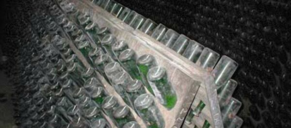 Завод шампанских вин Багратиони в Грузии - Sputnik Молдова