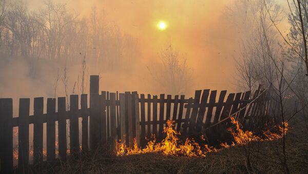 Incendii, arșiță, vegetație - Sputnik Moldova