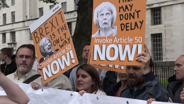 Митинги за и против Brexit в Лондоне едва не переросли в драку - Sputnik Moldova