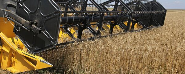 Уборка зерновых в Крыму - Sputnik Moldova