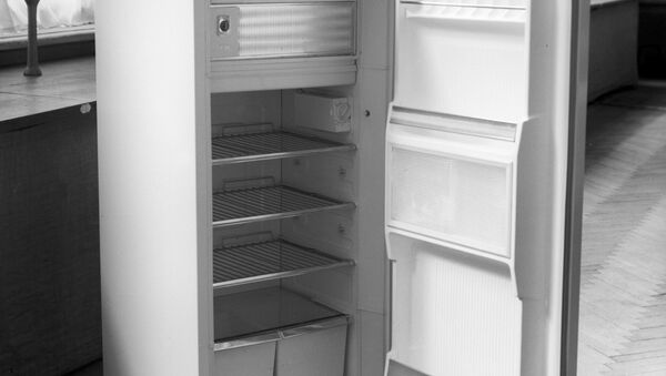 Холодильник - Sputnik Молдова