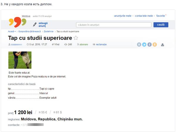 Anunț pe portalul 999.md despre faptul că este scos la vânzare un țap cu studii superioare - Sputnik Moldova