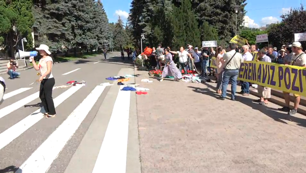 Protest la casa Guvernului, deținătorii de patente - Sputnik Moldova