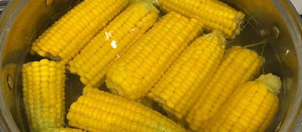 porumb fiert - Sputnik Moldova