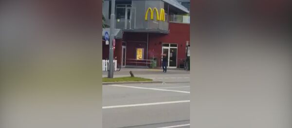 Момент стрельбы у ТЦ в Мюнхене и первые минуты после инцидента - Sputnik Молдова