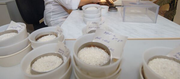Laborator, produse alimentare, orez - Sputnik Moldova