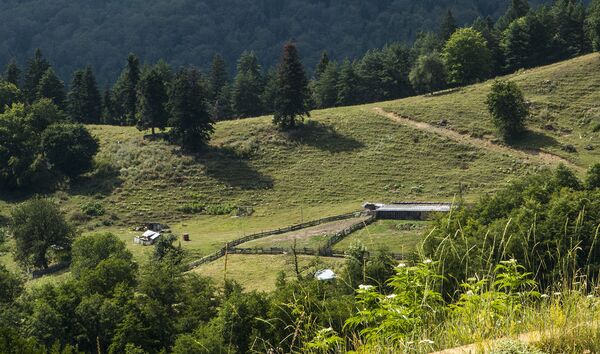 Горы в Румынии - Sputnik Молдова