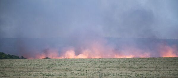 Горящие поле - Sputnik Moldova