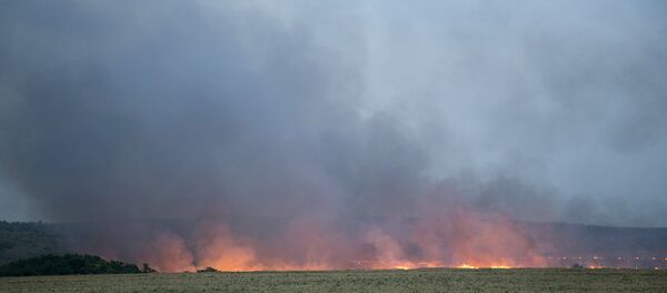 Горящие поле - Sputnik Молдова