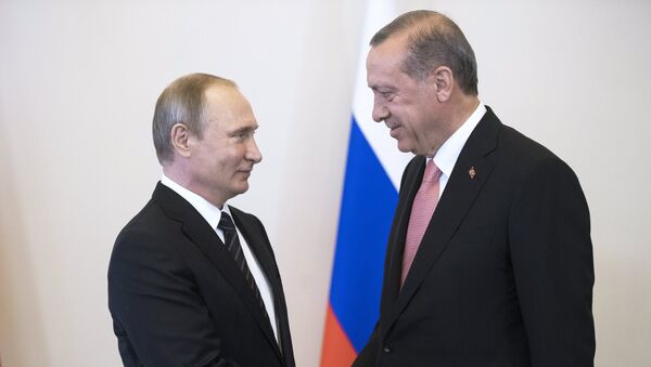 Встреча президентов России и Турции В. Путина и Р. Эрдогана в Санкт-Петербурге - Sputnik Молдова