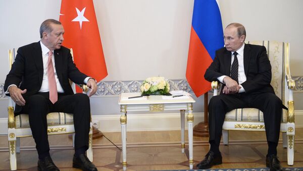 Встреча президентов России и Турции В. Путина и Р. Эрдогана в Санкт-Петербурге - Sputnik Молдова