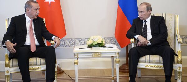 Встреча президентов России и Турции В. Путина и Р. Эрдогана в Санкт-Петербурге - Sputnik Молдова