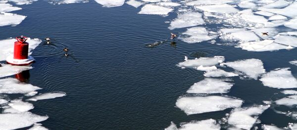 Ледоход на Москве-реке Ледоход на Москве-реке - Sputnik Moldova-România