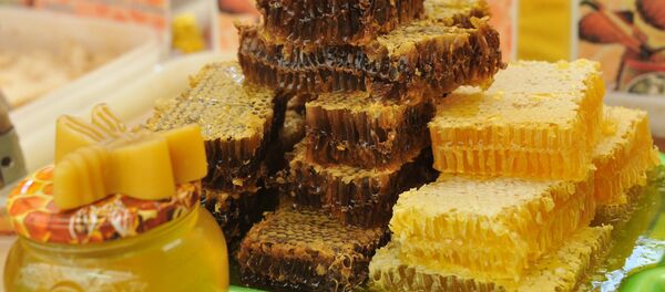 Мед в сотах - Sputnik Молдова