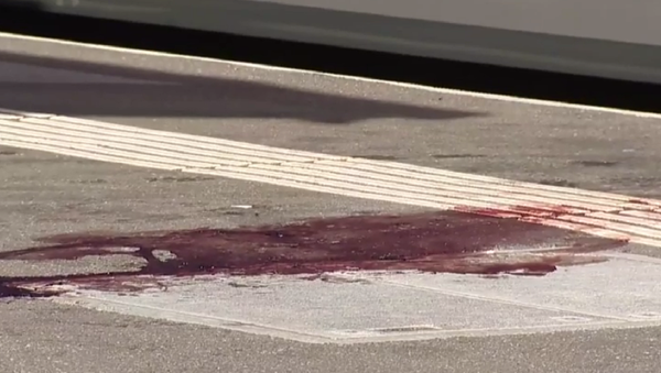 Atac cu un cuțit într-un tren din Elveția, urme de sânge la fața locului - Sputnik Moldova