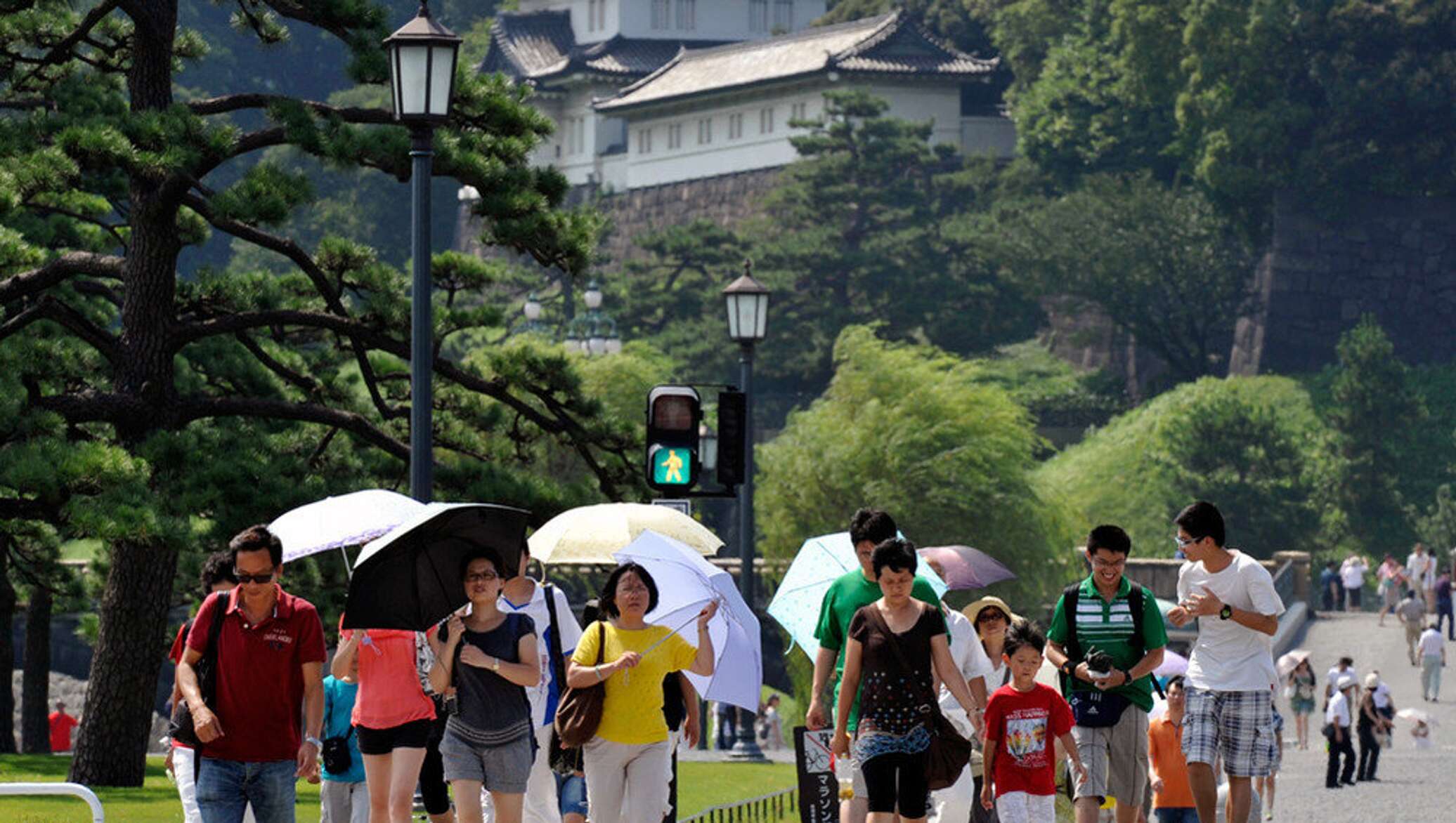 Tokyo summer. Лето в Японии. Япония город лето. Лето в Токио. Жаркое лето в Японии.