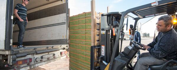 Экспорт армянских помидоров - Sputnik Moldova