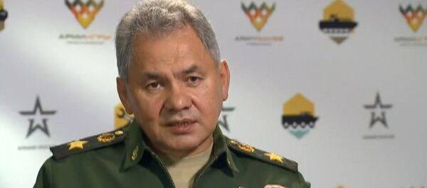 Шойгу рассказал, как Путин помог избежать массированного удара по Сирии - Sputnik Молдова