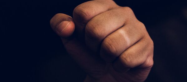 Кулак - Sputnik Молдова