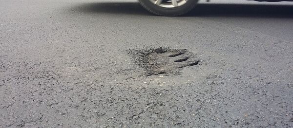 Drum, asfalt - Poză simbol Drum, asfalt - Poză simbol - Sputnik Moldova