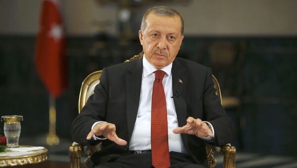 Президент Турции Реджеп Тайип Эрдоган дает интервью агентству Reuters в Президентском дворце в Анкаре - Sputnik Moldova