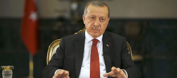 Президент Турции Реджеп Тайип Эрдоган дает интервью агентству Reuters в Президентском дворце в Анкаре Президент Турции Реджеп Тайип Эрдоган дает интервью агентству Reuters в Президентском дворце в Анкаре - Sputnik Молдова