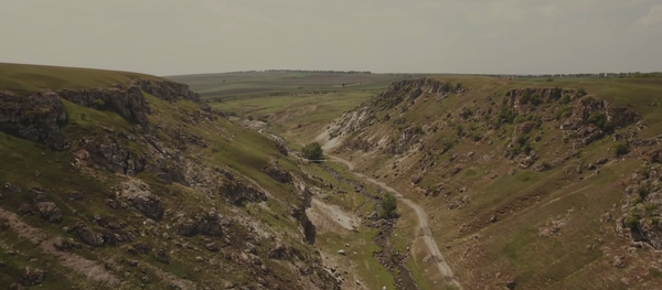 Constantin Moscovici- The Lonely Shepherd - Sputnik Moldova